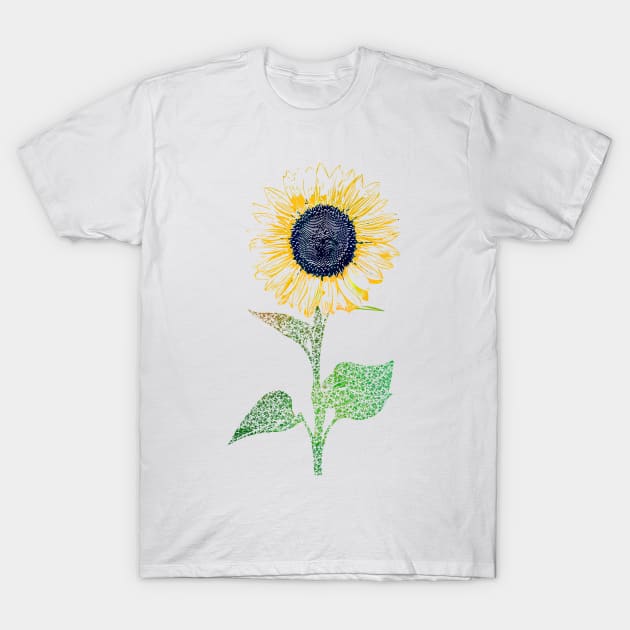 Sunflower T-Shirt by Jirka Svetlik